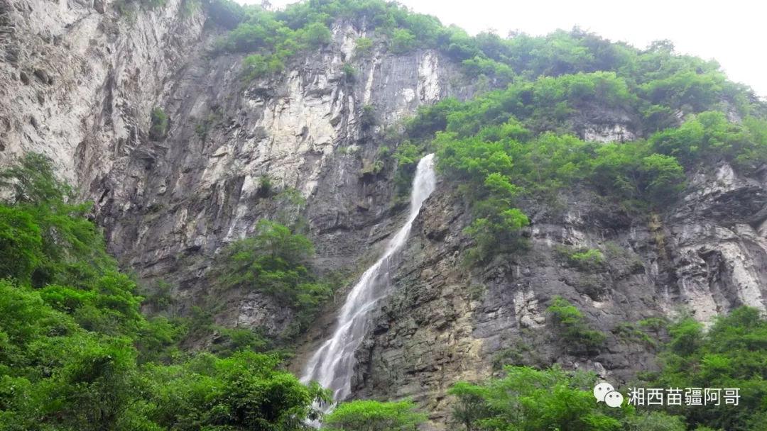 俄联邦安全局以叛国罪逮捕一名向乌军汇款的新库兹涅茨克居民